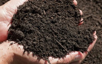 NEU: Analysierter Bio-Kompost mit Zertifizierung